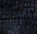 0_5899571_594236.jpg